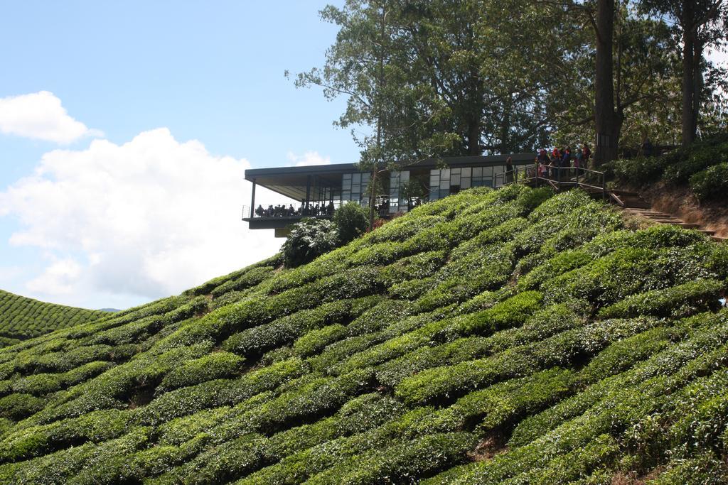 Cameron Strawberry Residence Cameron Highlands Exterior photo