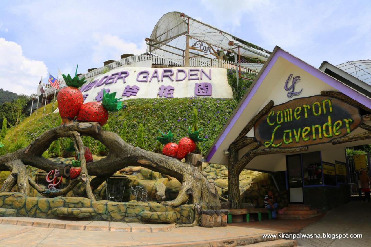 Cameron Strawberry Residence Cameron Highlands Exterior photo